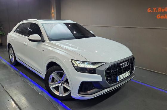 Audi Q8 45 TDI Quattro Premium — пробег 109 375 км — фото 1 из 5