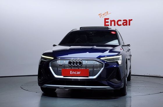 Audi e-tron 55 Quattro Sportback — пробег 158 417 км — фото 3 из 5