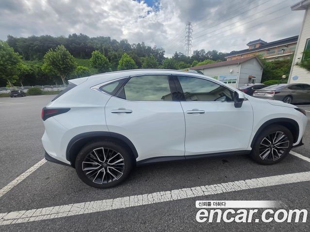 Lexus NX Luxury — пробег 5 000 км — фото 2 из 5
