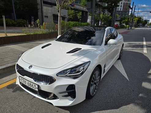 Kia Stinger 2.0 Turbo 2WD Platinum — пробег 92 613 км — фото 1 из 5