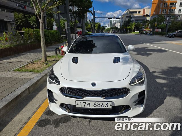 Kia Stinger 2.0 Turbo 2WD Platinum — пробег 92 613 км — фото 2 из 5