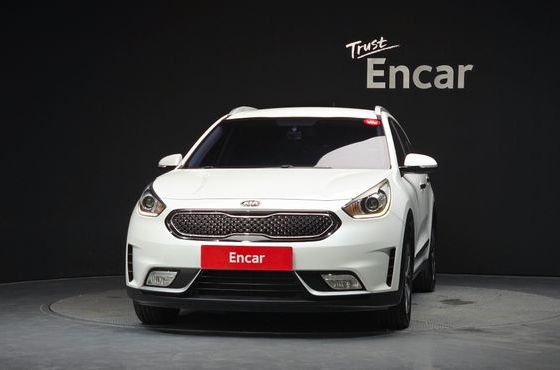 Kia Niro Luxury — пробег 180 285 км — фото 3 из 5