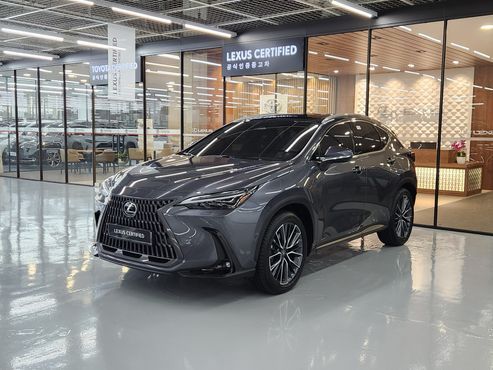 Lexus NX Luxury — пробег 6 026 км — фото 1 из 5