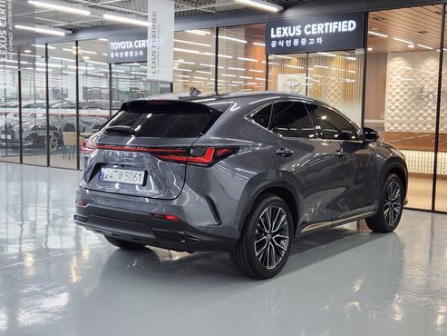 Lexus NX Luxury — пробег 6 026 км — фото 2 из 5