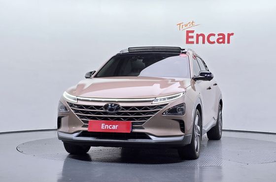 Hyundai Nexo Premium — пробег 114 463 км — фото 3 из 5