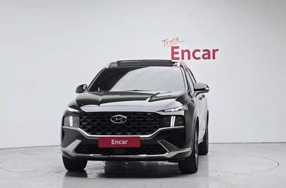 Hyundai Santafe HEV 1.6 2WD Calligraphy — пробег 71 880 км — фото 3 из 5