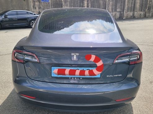 Tesla Model 3 Long Range AWD — пробег 201 000 км — фото 4 из 5