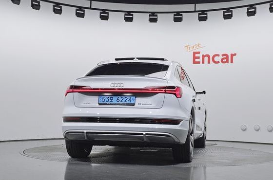 Audi e-tron 55 Quattro Sportback — пробег 233 769 км — фото 4 из 5