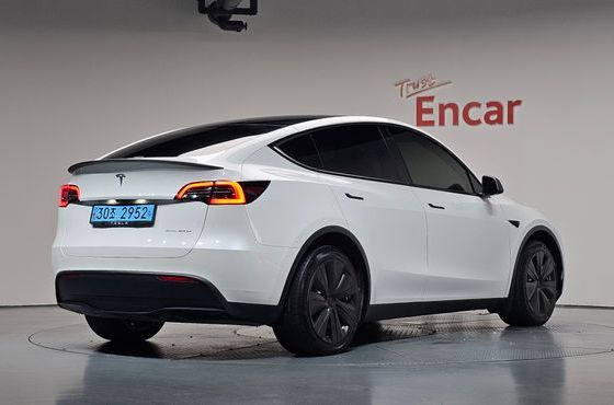 Tesla Model Y Long Range AWD — пробег 65 074 км — фото 2 из 5