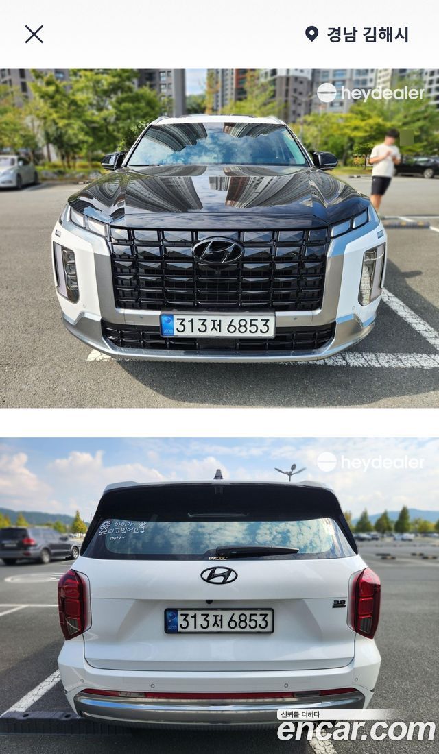 Hyundai Palisade Gasoline 3.8 2WD Calligraphy — пробег 48 500 км — фото 1 из 5