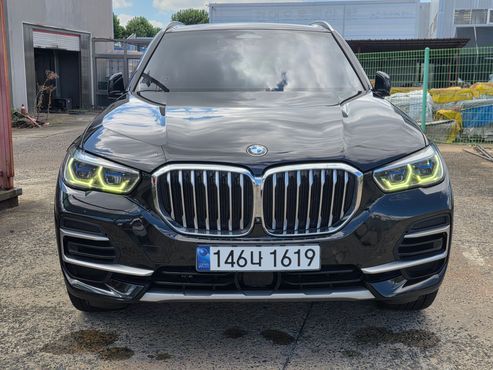 BMW X5 xDrive 30d xLine — пробег 202 735 км — фото 1 из 5