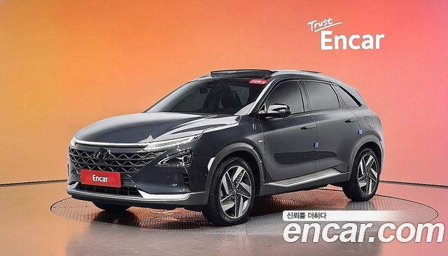 Hyundai Nexo Premium — пробег 101 461 км — фото 1 из 5
