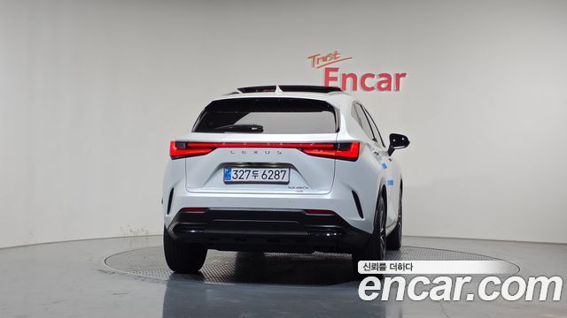 Lexus NX Luxury — пробег 13 253 км — фото 4 из 5