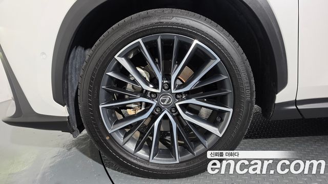 Lexus NX Luxury — пробег 13 253 км — фото 5 из 5
