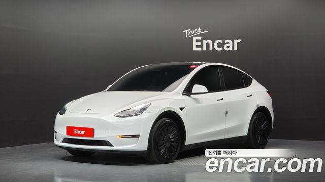 Tesla Model Y Long Range AWD — пробег 138 592 км — фото 1 из 5
