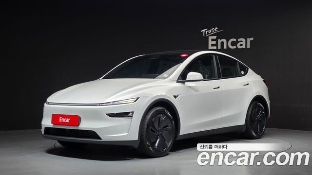 Tesla Model Y Premium Long Range AWD — пробег 28 км — фото 1 из 5