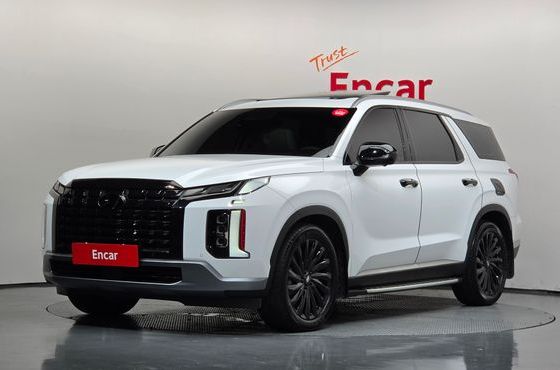 Hyundai Palisade Diesel 2.2 2WD Le Blanc — пробег 30 499 км — фото 1 из 5