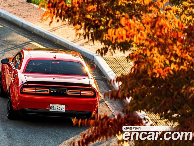 Dodge Challenger 6.4 — пробег 7 500 км — фото 4 из 5