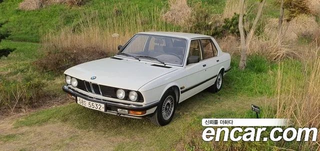 BMW 5-Series 528e E28 — пробег 46 000 км — фото 1 из 5