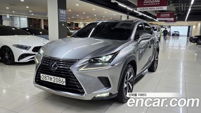Lexus NX Executive — пробег 13 939 км — фото 4 из 5