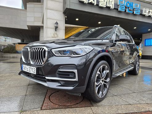 BMW X5 xDrive 40i xLine — пробег 33 000 км — фото 1 из 5