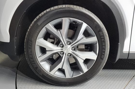 Hyundai Palisade Diesel 2.2 2WD Prestige — пробег 42 774 км — фото 5 из 5