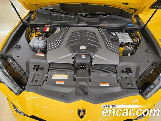 Lamborghini Urus из Кореи Encar