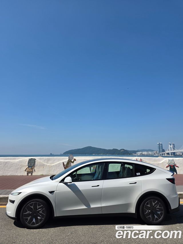 Tesla Model Y из Кореи Encar