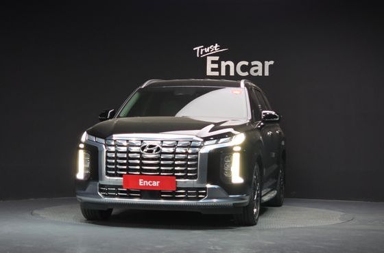 Hyundai Palisade Gasoline 3.8 4WD Calligraphy — пробег 44 340 км — фото 3 из 5