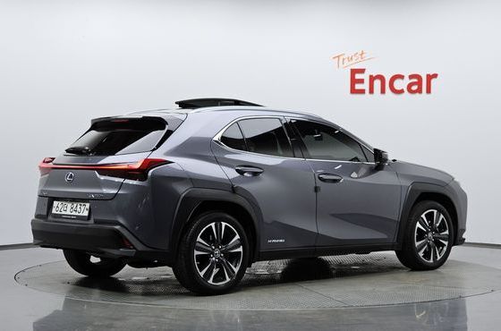 Lexus UX 2.0 AWD — пробег 54 356 км — фото 2 из 5
