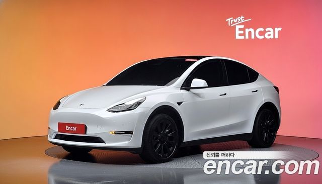 Tesla Model Y Long Range AWD — пробег 73 588 км — фото 1 из 5