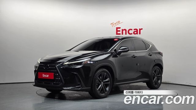 Lexus NX Premium — пробег 43 724 км — фото 1 из 5