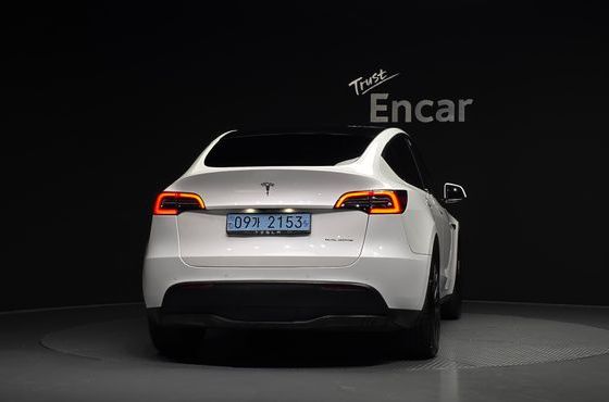 Tesla Model Y Long Range AWD — пробег 120 158 км — фото 4 из 5