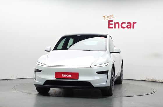 Tesla Model Y Premium Long Range AWD — пробег 55 км — фото 3 из 5