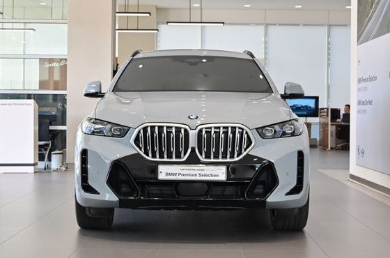 BMW X6 xDrive40i M Sport — пробег 4 965 км — фото 3 из 5