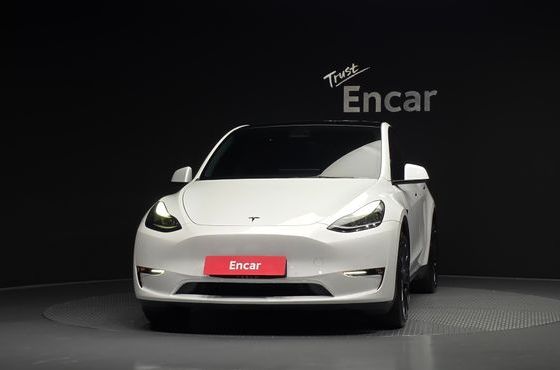 Tesla Model Y Performance AWD — пробег 56 603 км — фото 3 из 5