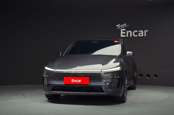 Tesla Model Y Long Range AWD — пробег 24 633 км — фото 3 из 5
