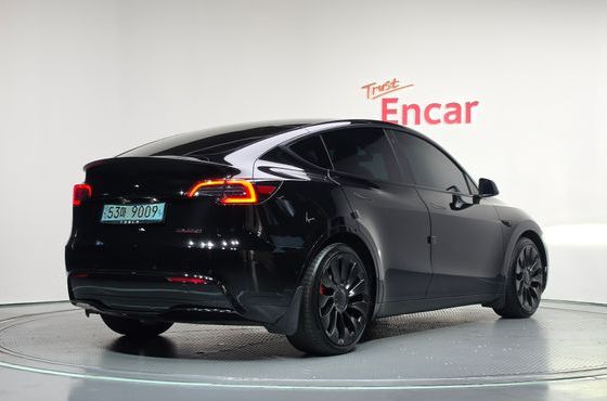 Tesla Model Y Performance AWD — пробег 95 153 км — фото 2 из 5