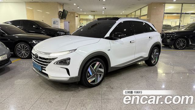 Hyundai Nexo Premium — пробег 123 901 км — фото 1 из 5