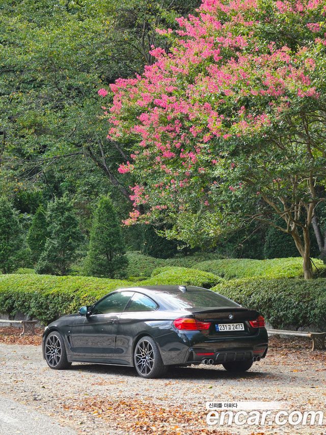 BMW 4-Series 420d xDrive M Sport Coupe — пробег 179 000 км — фото 5 из 5