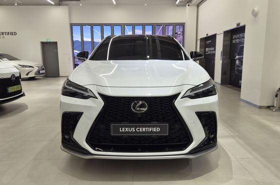 Lexus NX F-Sport — пробег 16 626 км — фото 3 из 5