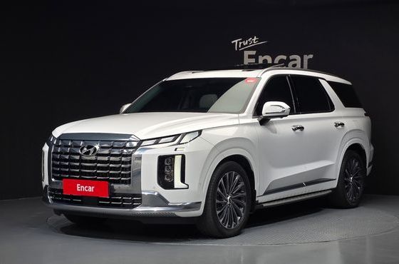 Hyundai Palisade Gasoline 3.8 4WD VIP — пробег 41 399 км — фото 1 из 5