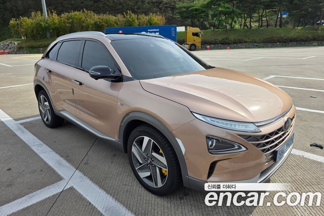 Hyundai Nexo Premium — пробег 98 500 км — фото 1 из 5
