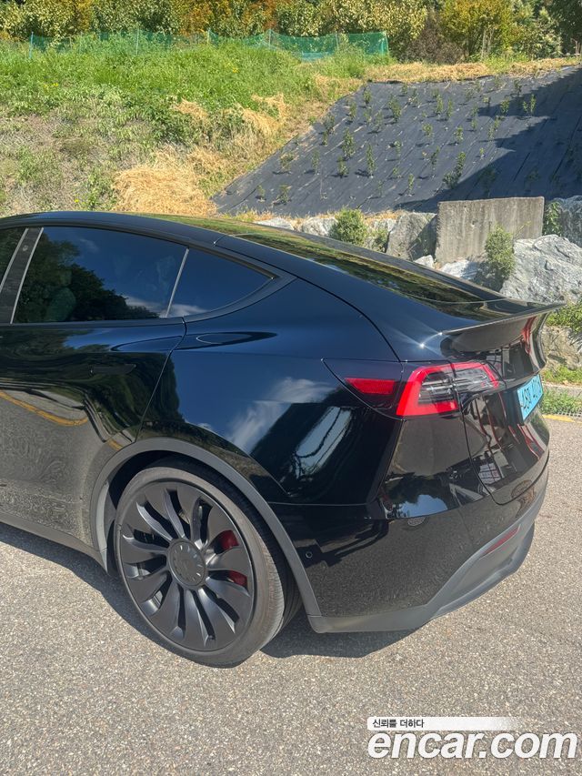 Tesla Model Y Performance AWD — пробег 75 396 км — фото 2 из 5