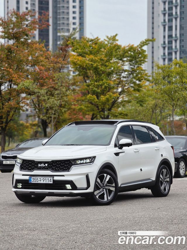 Kia Sorento HEV 1.6 2WD Gravity — пробег 72 600 км — фото 1 из 5