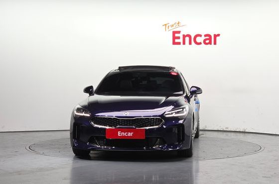 Kia Stinger 2.0 Turbo 2WD Platinum — пробег 53 005 км — фото 3 из 5