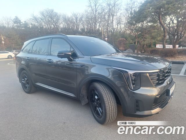 Kia Sorento HEV 1.6 4WD Gravity — пробег 12 000 км — фото 2 из 5