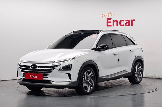 Hyundai Nexo Premium — пробег 34 110 км — фото 1 из 5