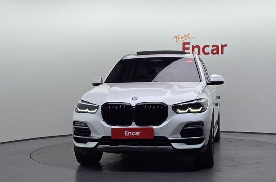 BMW X5 xDrive 30d xLine — пробег 105 913 км — фото 3 из 5