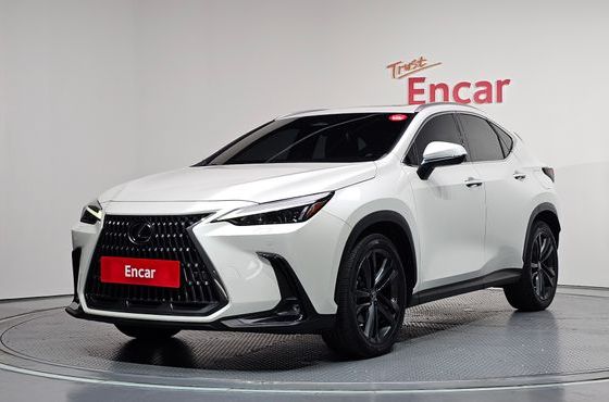 Lexus NX Premium — пробег 103 178 км — фото 1 из 5